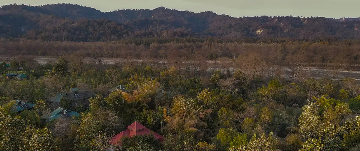 Jim's Jungle Retreat — Jim Corbett National Park