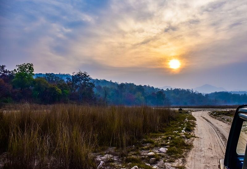 Rajaji National Park stretch — on the Delhi to Mussoorie taxi route