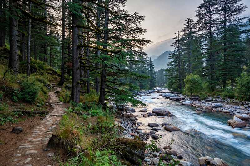 Van Vihar, Manali — Delhi Hill Circuit