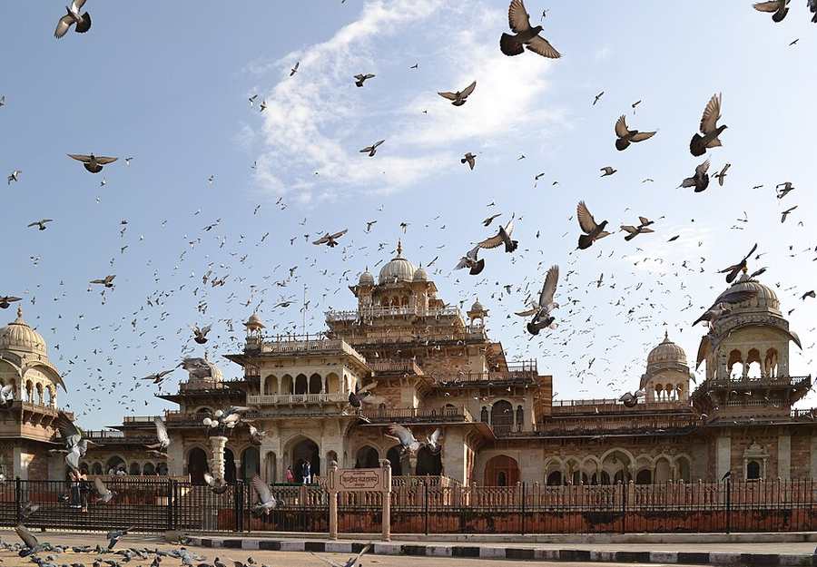 Albert Hall Museum — Jaipur Heritage Tour